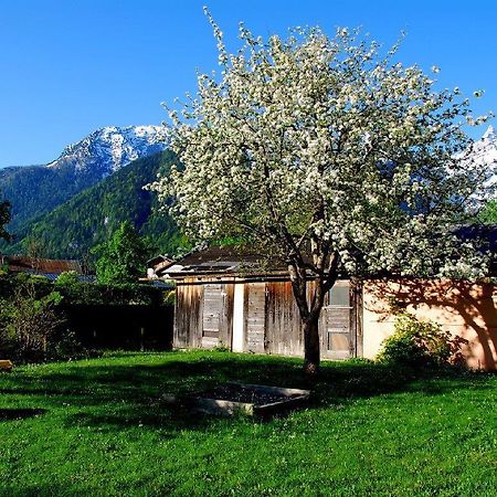 Haus Stainer Apartment Lofer Bagian luar foto