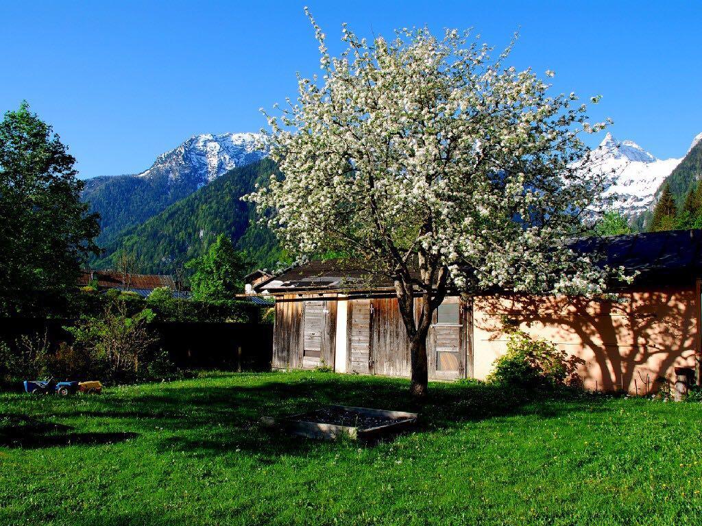 Haus Stainer Apartment Lofer Bagian luar foto